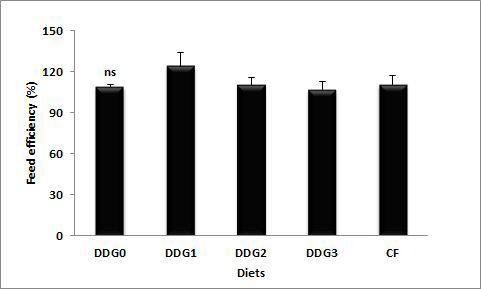 Feed efficiency (%) of juvenile red seabream fed the experimental diets for 6 weeks