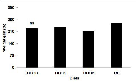 Weight gain (%) of juvenile abalone fed the experimental diets for 14 weeks