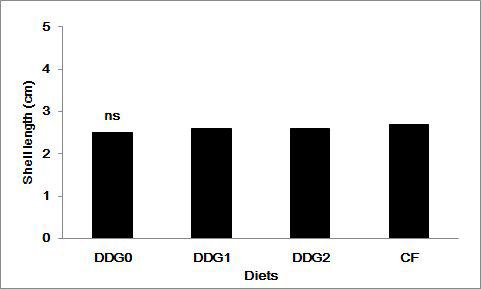 Shell length (cm) of juvenile abalone fed the experimental diets for 14 weeks