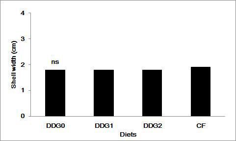 Shell width (cm) of juvenile abalone fed the experimental diets for 14 weeks