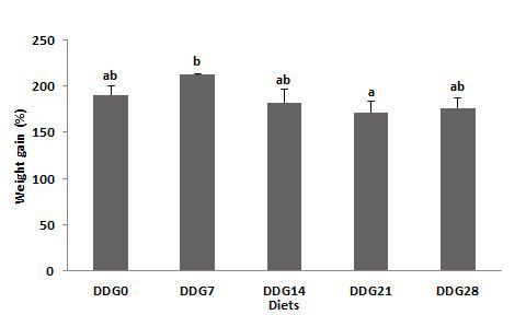 Weight gain (%) of juvenile olive flounder fed the experimental diets for 8 weeks