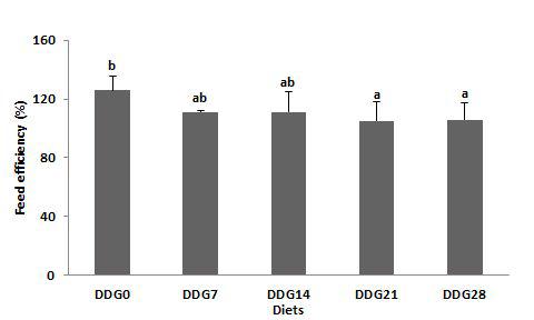 Feed efficiency of juvenile olive flounder fed the experimental diets for 8 weeks