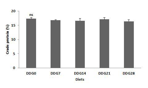 Crude protein (%) of whole body in juvenile olive flounder fed the experimental diets for 8 weeks