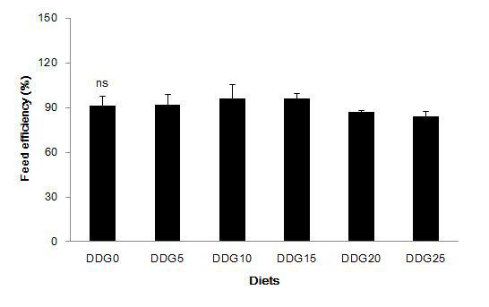 Feed efficiency (%) of juvenile red seabream fed the experimental diets for 10 weeks