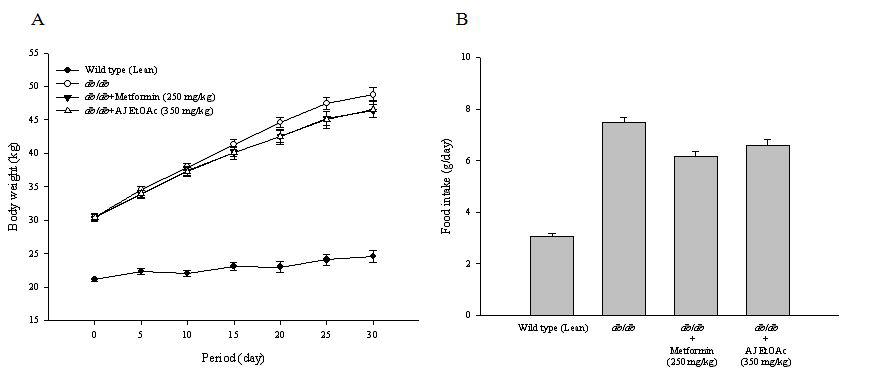 장어육 EtOAc 분획 및 metformin의 체중변화 및 사료섭취에 미치는 영향.
