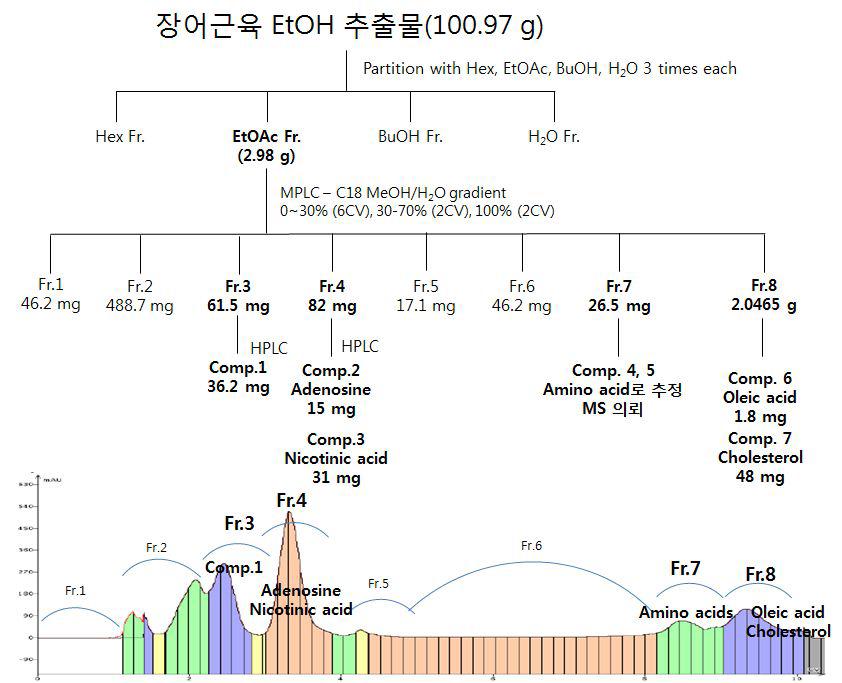 Isolation of compounds 1 - 7 from the muscles of eel.