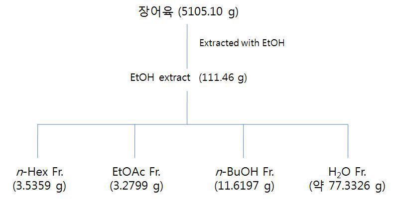 장어근육의 추출 및 용매분획물 제조.