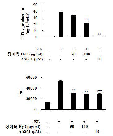 장어육 수층 분획이 쥐 골수유래 비만세포에서 5-lipoxygenase (5-LOX) 의존적인 leukotriene C4 (LTC4) 생성 및 세포내 칼슘상승에 미치는 영향.