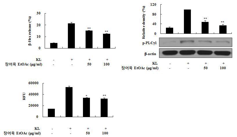 장어육 에칠아세테이트 분획이 쥐 골수유래 비만세포에서 탈과립(β-Hex release), 세포내 칼슘상승 및 PLC인산화에 미치는 영향.