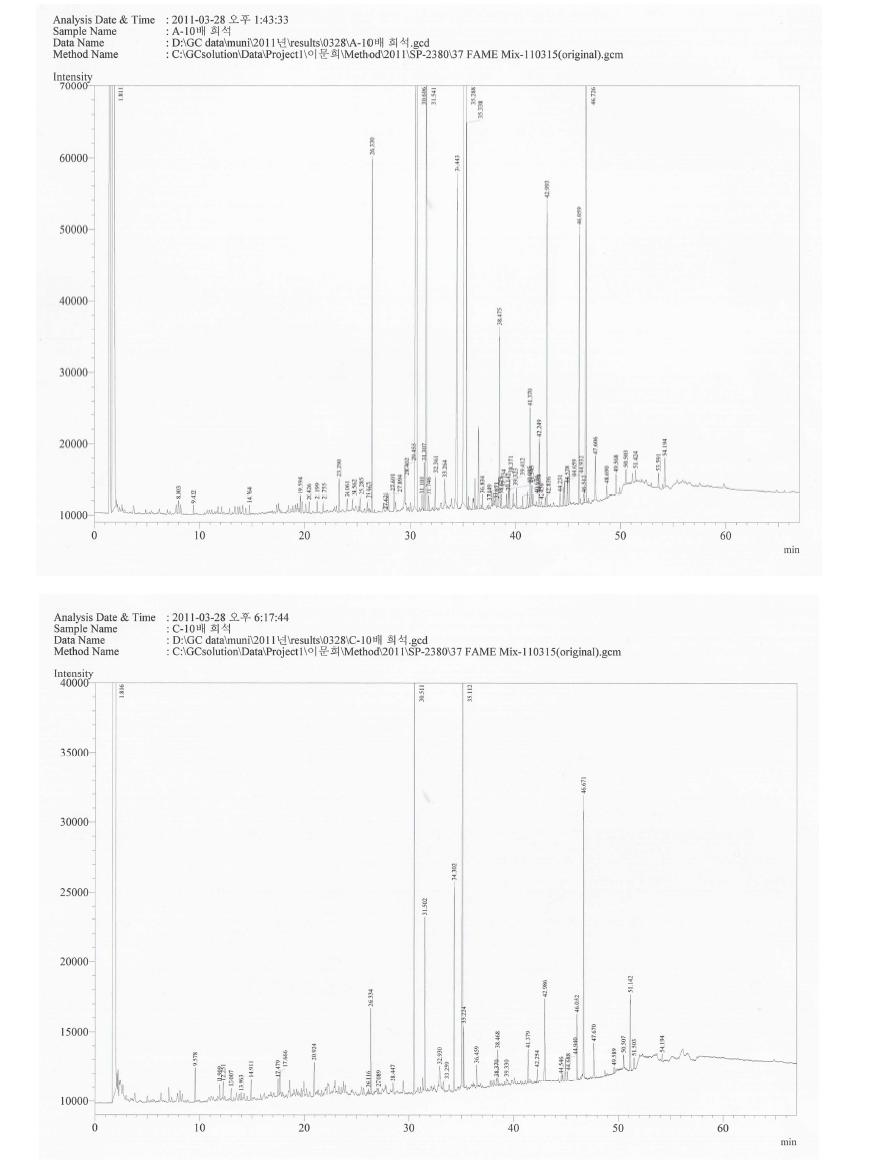 Gas chromatograms of fatty acids in total lipid obtained from muscle of the eel, Anguilla japonica, (above) and the tidal land eel cultured at Kwanghwa island (below).