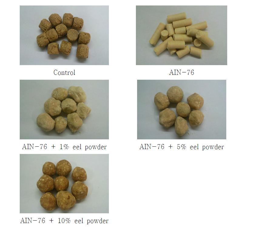 Production of AIN-76+1%, 5% and 10% eel powder-enriched feed for in vivo administration.