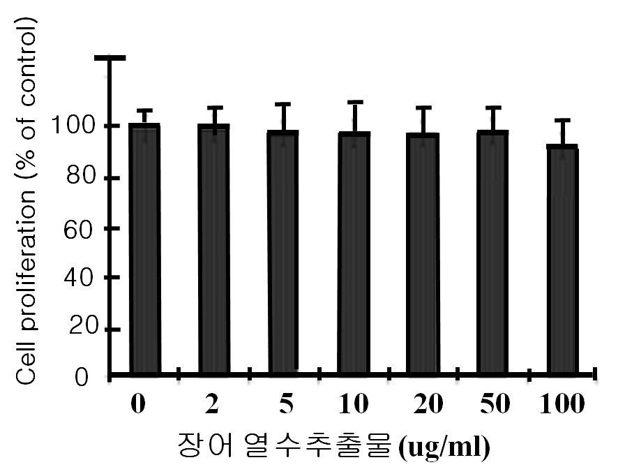 장어 추출물(장어부산물 생리식염수 추출물, 메탄올추출물, 열수추출물)의 사람동맥 혈관평활근 세포주 (HASMC)에 대한 세포독성중 대표적인 열수추출물에 대한 결과