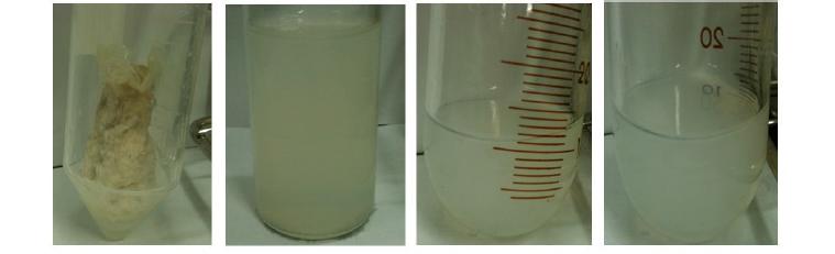 Isolation of mucoproteo glycan (MPG) from Japanese eel dermative tissue and intestinal tissues.