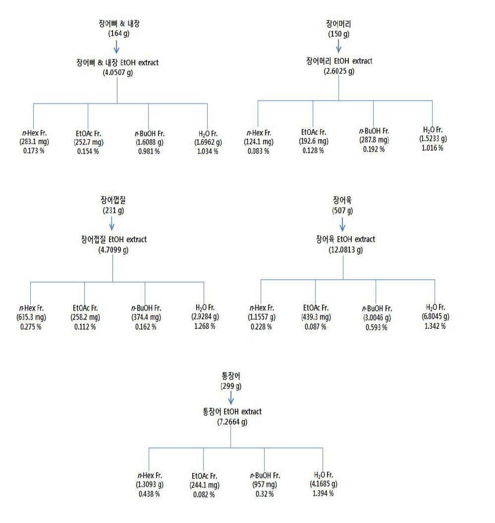 장어 부위별 및 각 용매 분획들 추출 수율.