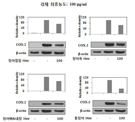 장어껍질, 뼈및 내장, 장어육 및 통장어 핵산분획 들이 쥐 골수유래 비만세포에서 cyclooxygenase-2 (COX-2)의존적인 prostaglandin D2 (PGD2) 발현에 미치는 영향.