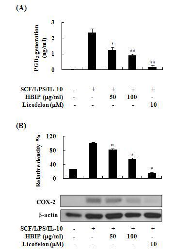 HEE가 쥐 골수유래 비만세포에서 cyclooxygenase-2 (COX-2) 의존적인 prostaglandin D2 (PGD2) 생성 및 COX-2 단백질 발현에 미치는 영향.