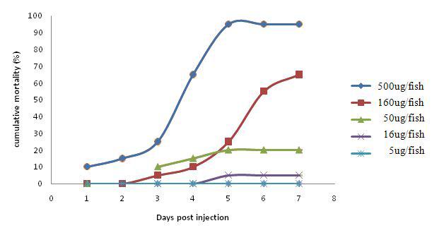 Cumulative mortality due to different concentrations of saponin in olive flounder.