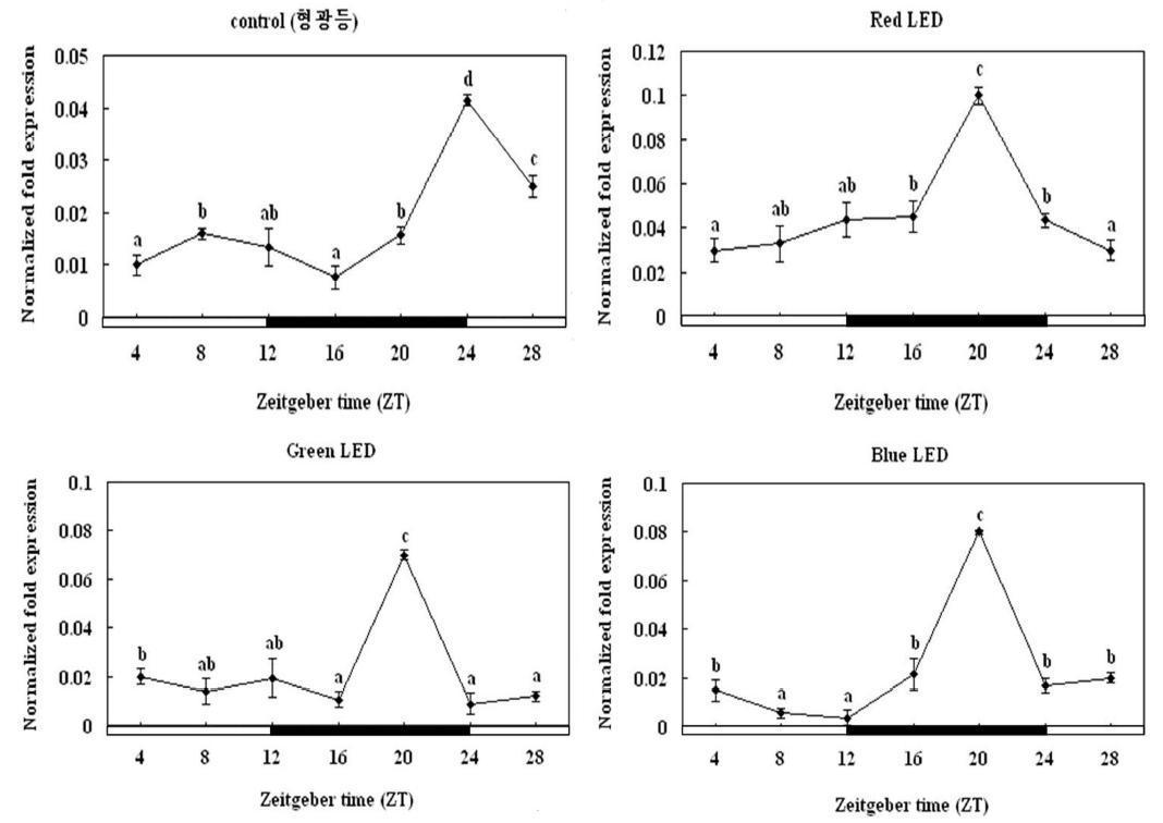 Changes in the expression levels ofMT1 mRNA in the brain of yellowtail clownfish under lighting conditions using red