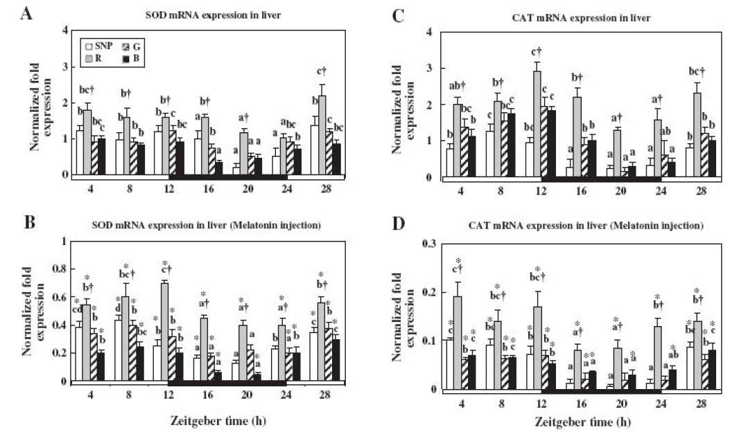 Changesin the expression levels of SOD and CAT mRNA in thelive