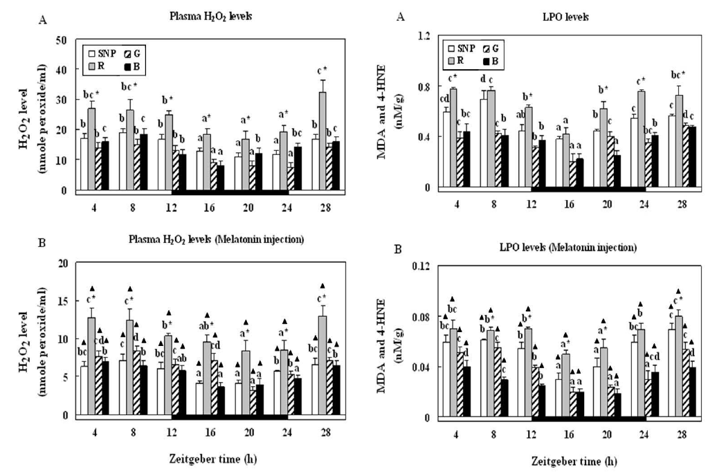 Changes in the H2O2 and LPO levelsin plasma and muscle