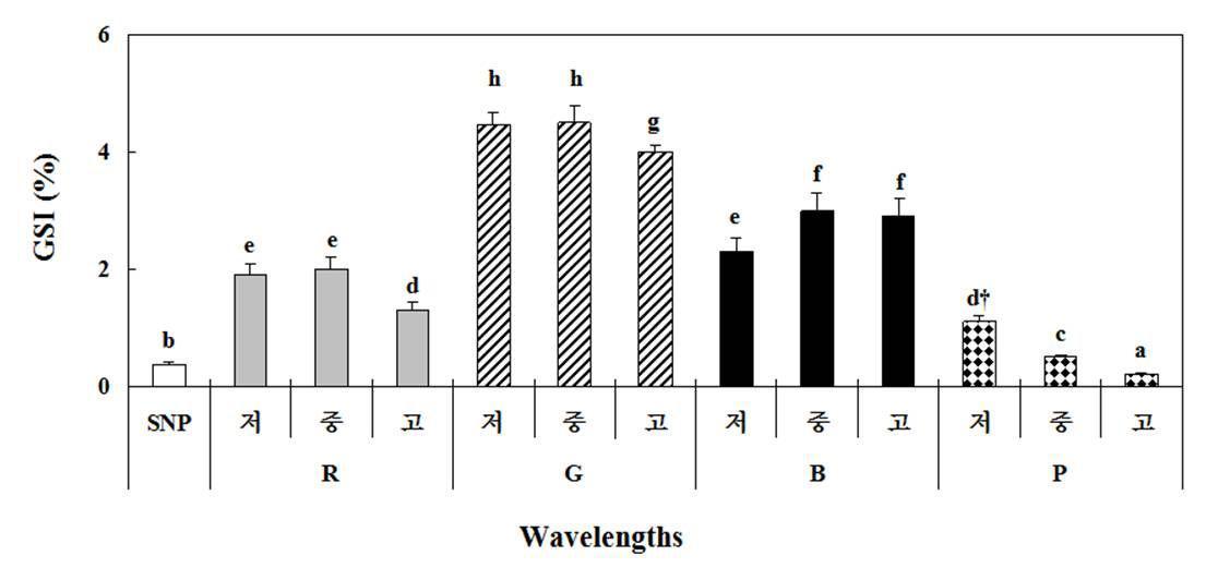 Gonadosomatic index for blue damsel under red (R),green (G),blue(B),and purple (P) LEDs, a simulated natural photoperiod(SNP), and three intensities.