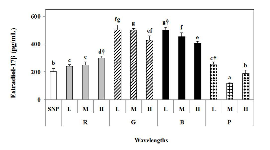 Plasma E2 hormone levels of the yellowtail damselfish under lighting conditions using a simulated natural photoperiod (SNP),red (R),green (G),blue(B), purple (P)LED lights, and low (L),middle (M),high (H)intensities.