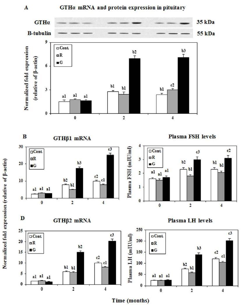 Changesin the expression levels of GTHα protein and mRNA (A),GTHβ1 and plasma FSH (B),GTHβ2 and plasma LH (C) levels in the pituitary and plasma of goldfish under lighting conditions using red(R),green(G) LEDs and white fluorescent bulb(Cont.),as measured by quantitative real-time PCR and microplate reader.