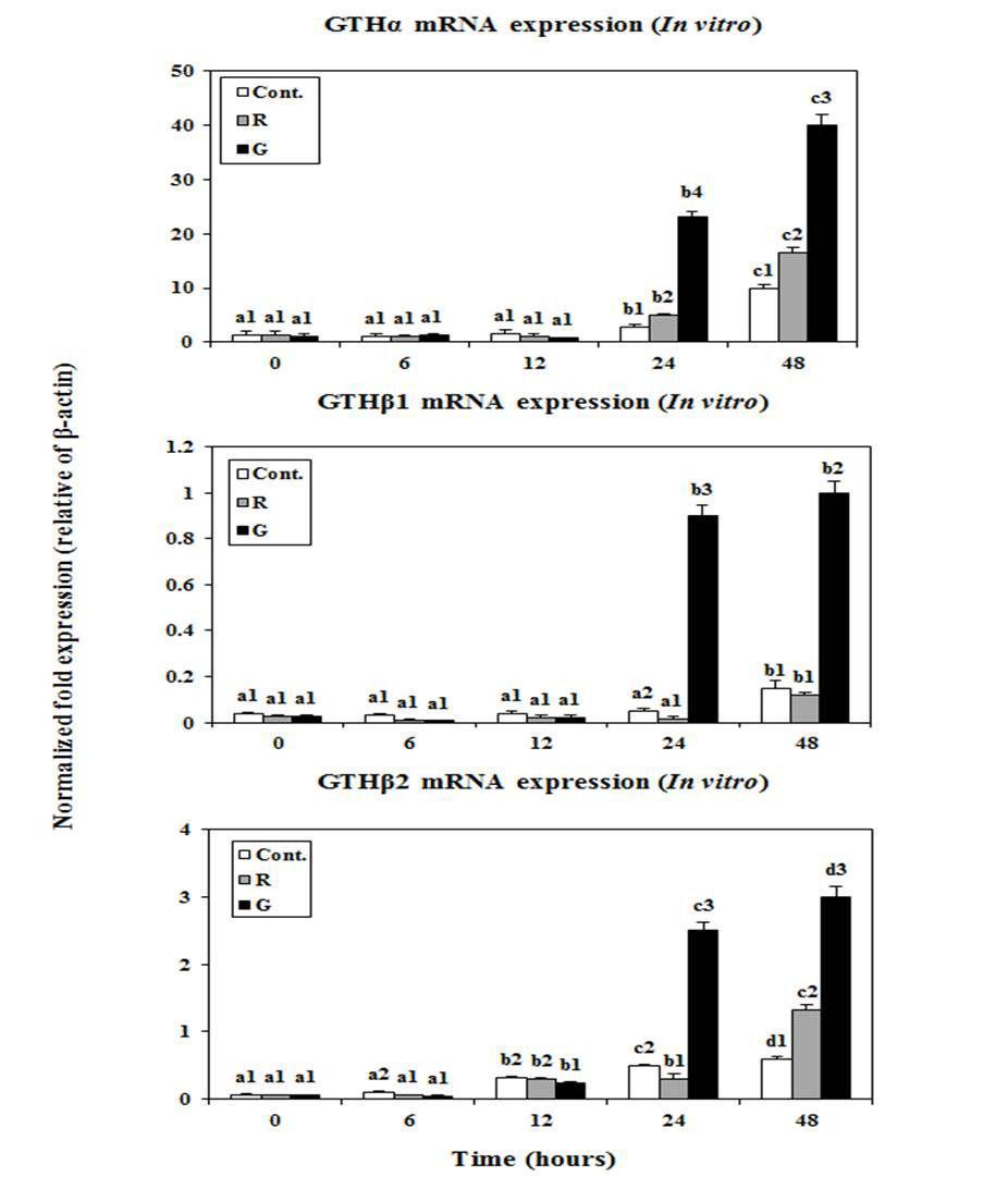 Changes in the expression levels of GTHα,GTHβ1,and GTHβ2 mRNA expression levels in the brain cells of goldfish under lighting conditions using red(R),green (G) LEDs and white fluorescent bulb (Cont.),as measured by quantitative real-time PCR