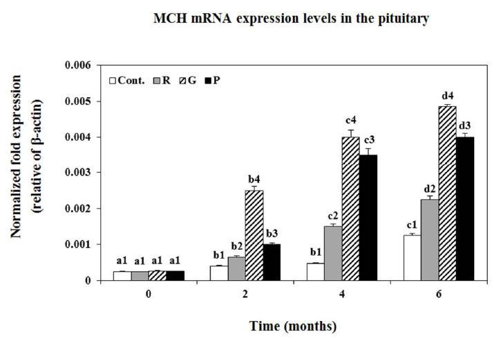 Changesin the expression levels of MCH mRNA in the pituitary of goldfish under lighting conditions using red (R),green (G),purple (P) LEDs and white fluorescent bulb (Cont.),as measured by quantitative real-time PCR.