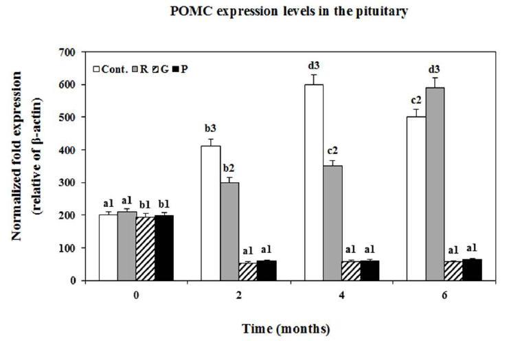 Changes in the expression levels of POMC mRNA in the pituitary of goldfish under lighting conditions using red (R),green (G),purple (P) LEDs and white fluorescent bulb (Cont.),as measured by quantitative real-time PCR.