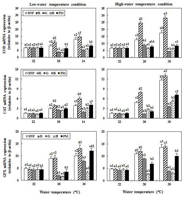 Changesin the expression levels of SOD (A,D),CAT (B,E),and GPX (C, F) mRNA in the liver during thermal change [low-water temperature (A,B,C); high-watertemperature(D,E,F)]of goldfish under lighting conditions using red (R), green(G),blue(B),and purple mix(PM)light-emitting diodes and a simulated natural photoperiod (SNP),asmeasured by quantitativereal-timePCR.