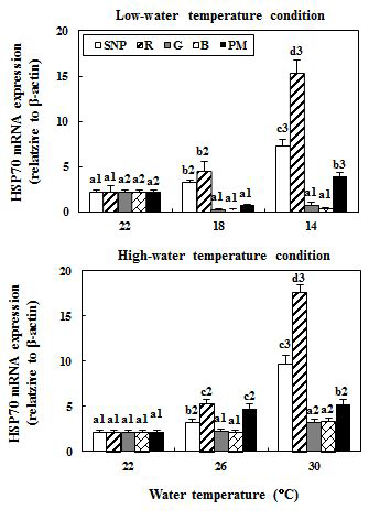 Changesin theHSP70mRNA expression in theliverduring thermalchange [low-water temperature (A);high-water temperature (B)]ofgoldfish under lightin conditions using red (R),green (G),blue (B),and purple mix (PM)light-emittin diodes and a simulated natural photoperiod (SNP), as measured by quantitativ real-timePCR