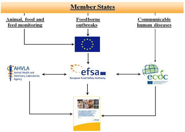 EU연례 보고서 작성 흐름