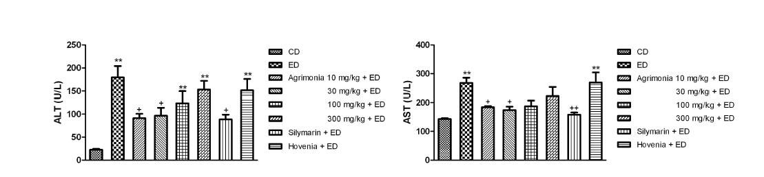 Effect of Agrimonia on serum alanine aminotransferase (ALT) and aspartate aminotransferase (AST) activities in chronic ethanol-fed rat. Values are means ± S.E.M. for 8-10 rats per group.