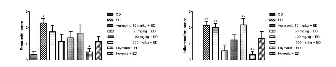 Effects of Agrimonia on histological score in chronic ethanol-fed rat.