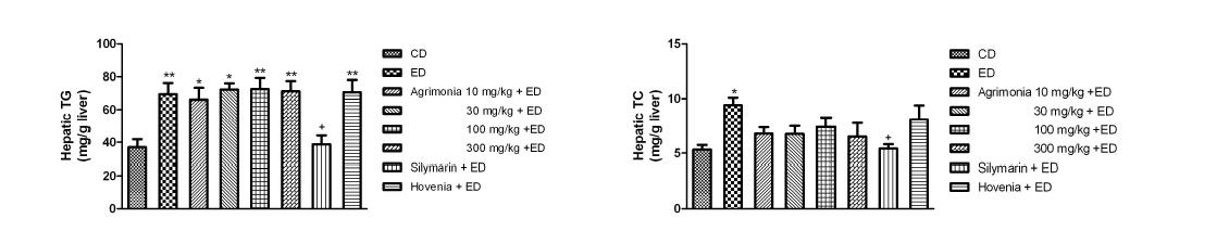 Effect of Agrimonia on hepatic triglyceride (TG) and hepatic total cholesterol (TC) contents in chronic ethanol-fed rat. Values are means ± S.E.M. for 8-10 rats per group.