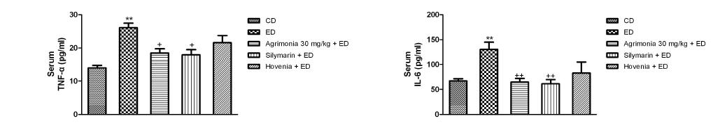 Effect of Agrimonia on serum TNF and IL-6 levels in chronic ethanol-fed rat.