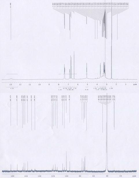 1H and 13C NMR spectra of compound 5