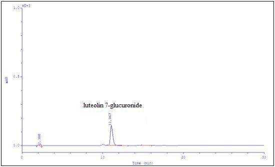 HPLC-chromatogram of luteolin 7-glucuronide