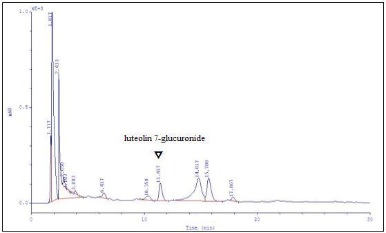 HPLC-chromatogram of sample