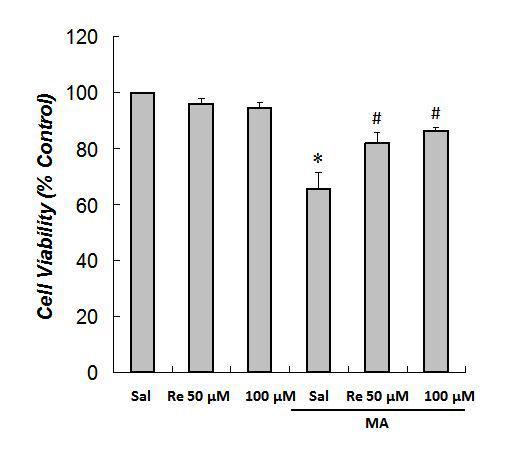 Human neuroblastoma SH-SY5Y cell에 대한 GinsenosideRe의 MA 독성에 대한 보호효과 (XTT assay)