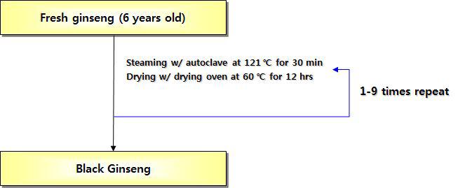 단계별 흑삼 제조