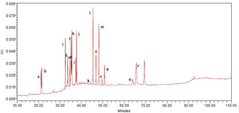 HPLC chromatogram of ginsenosides detected from the standard authentics