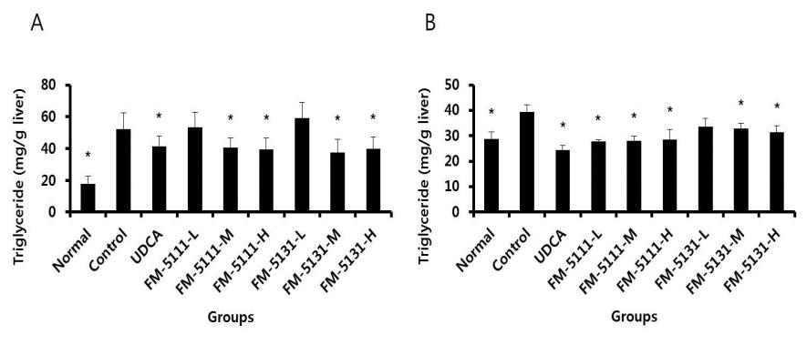 Contents of triglyceride in liver in ethionine-induced(A) and ethanol-induced fatty liver model.