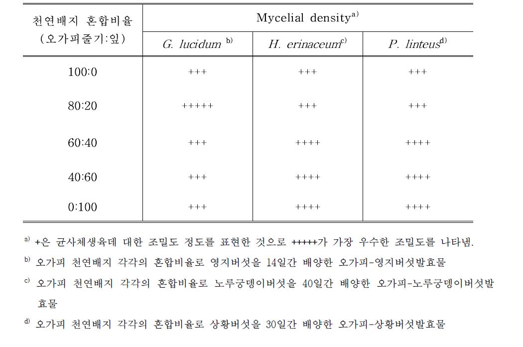 오가피(가지와 잎)의 혼합비율이 버섯균사체밀도에 미치는 영향