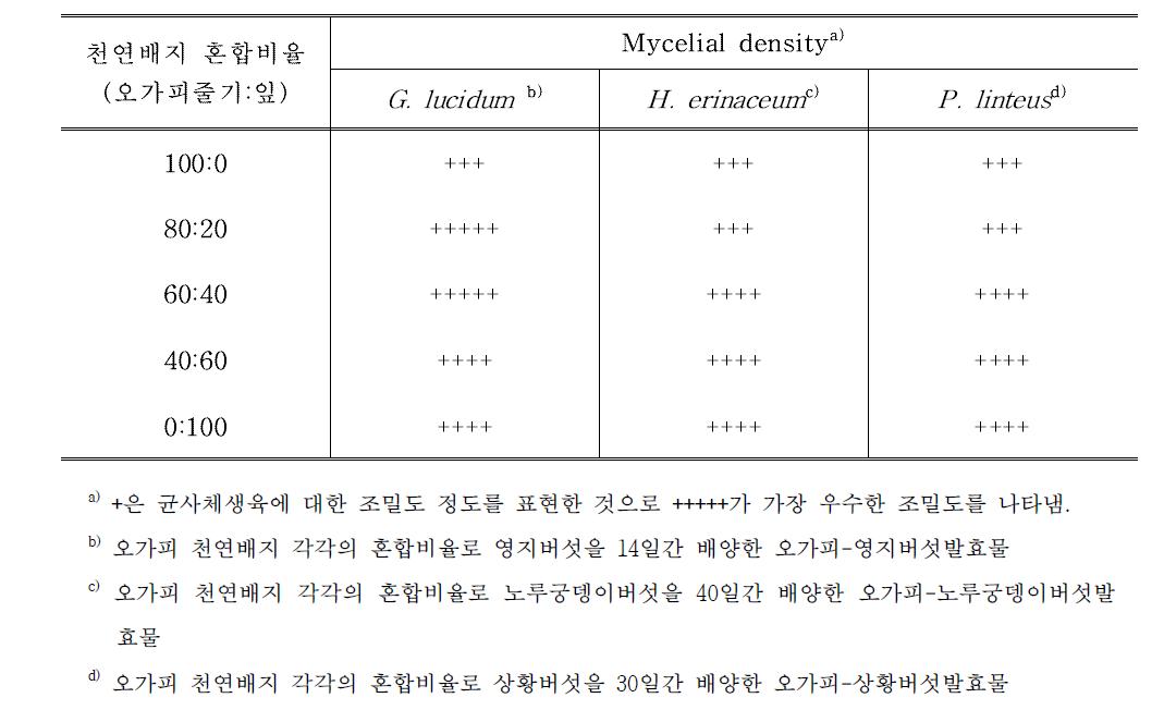 오가피의 혼합비율에 따른 오가피-버섯균사체 발효물의 균사체밀도