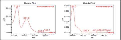 HPLC-chromatogram Spectrum of Eleutheroside B and Eleutheroside E (STD)