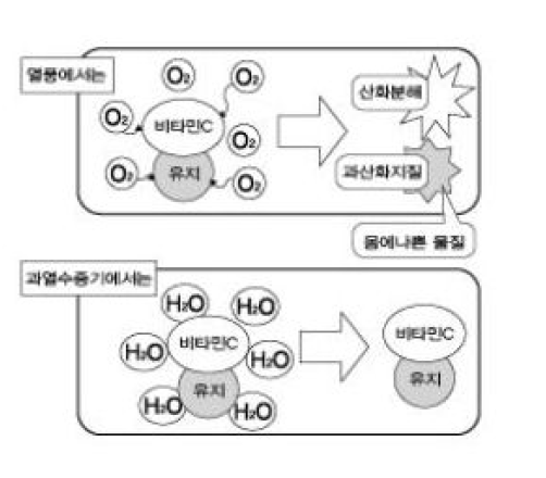 Superheatedsteam의 비타민C 잔존 기작