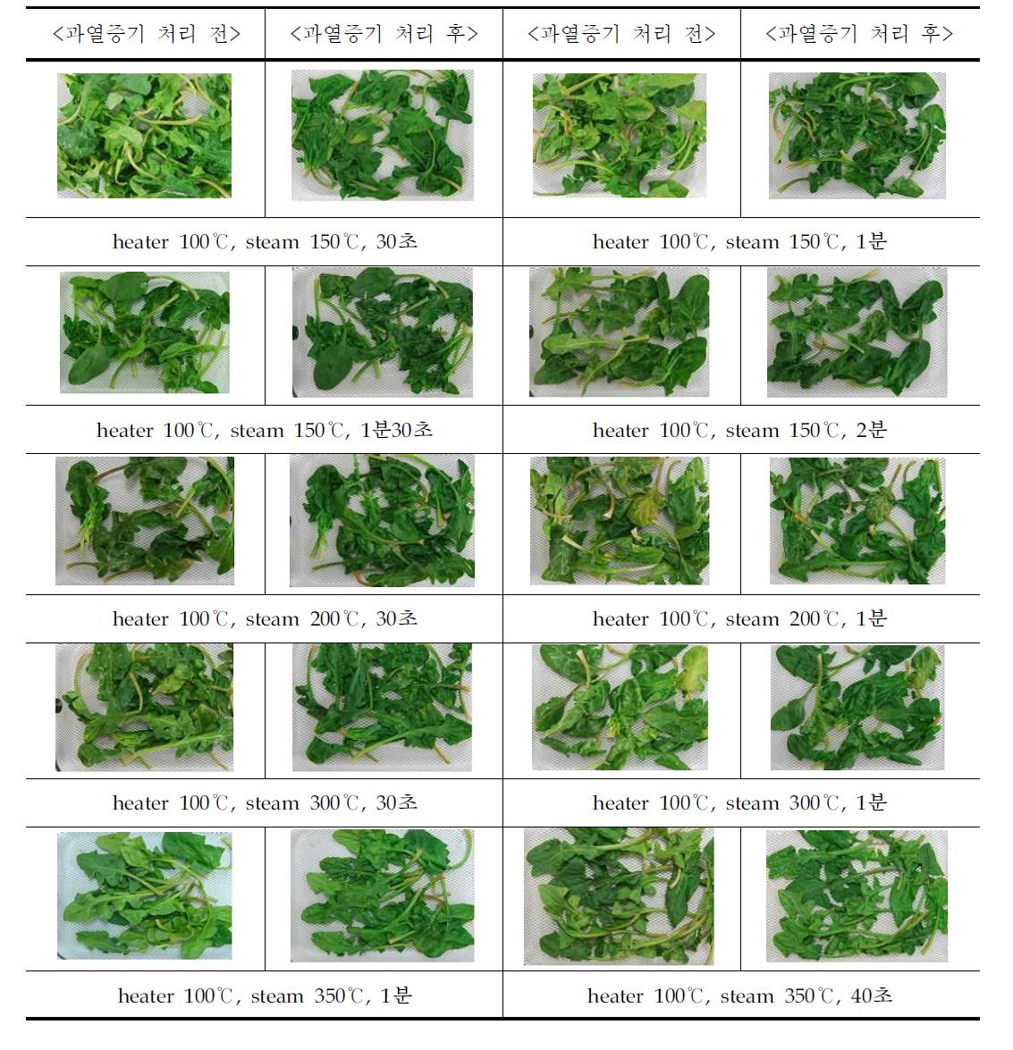 시금치의 과열증기 조건별 형태 변화