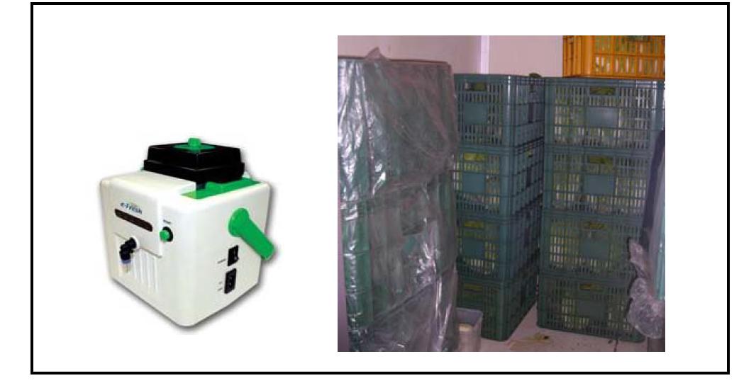 1-MCP generator (left) and storage room of spring Chinese cabbage (right).